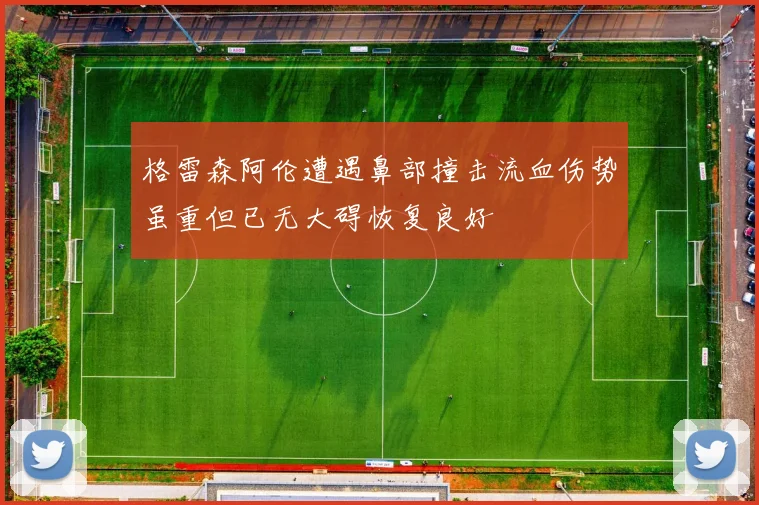 格雷森阿伦遭遇鼻部撞击流血伤势虽重但已无大碍恢复良好