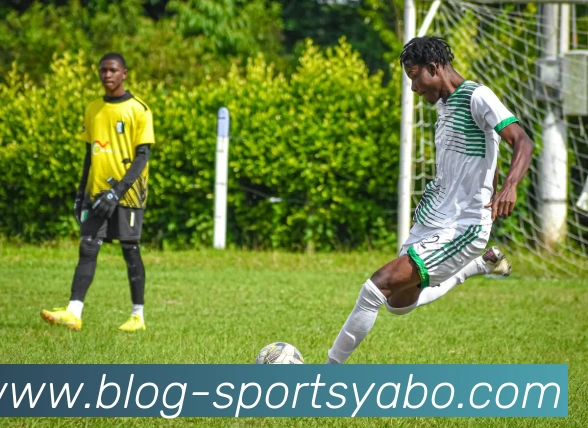 亚博体育APP 封面图